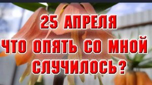 25 апреля.  Почему не была на даче?  Что произошло?