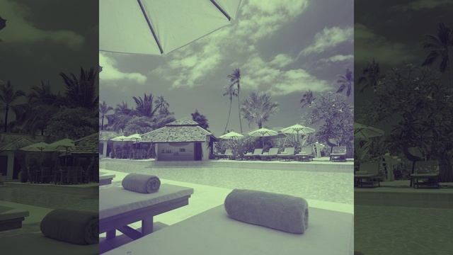 Чувство (Кафе) смотреть онлайн