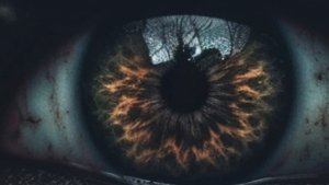 Хоррор история Взахлеб  "смотрящий мне в глаза"