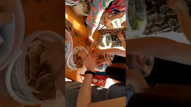 2 день благодійної ярмарки у місті Ладижин смотреть онлайн