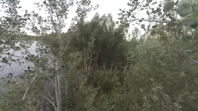 Прыжок ВЕРЫ с 10-ти Метров Жека БОИТСЯ смотреть онлайн