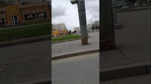 Перекрестки Веселого поселка 25.04.25