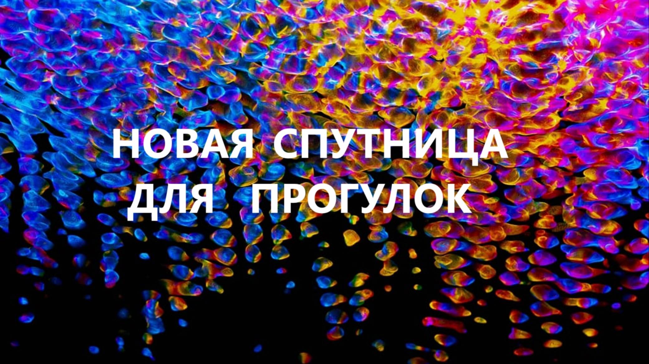Новая сумочка для прогулок.(апрель 2025г) смотреть онлайн