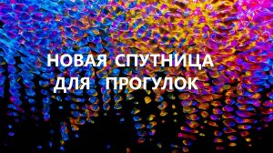 Новая сумочка для прогулок.(апрель 2025г)