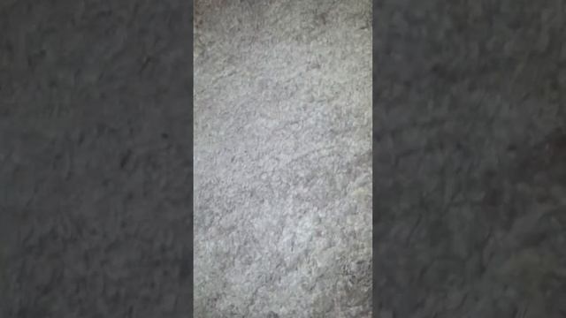 Мои новинки для беби бон смотреть онлайн