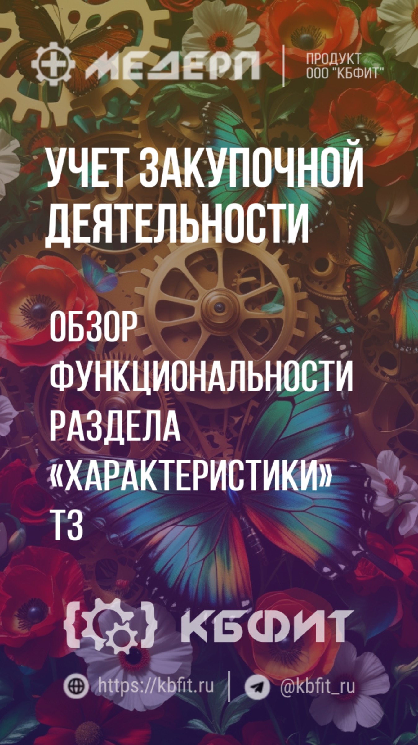 КБФИТ: МЕДЕРП. Учет НСИ: Обзор функциональности раздела «Характеристики» технического задания. Ч.1.