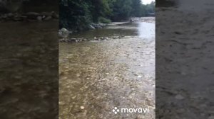 Нальчик , санаторий Долинск . Пешком до реки 2 минуты. 17 июля 2024 г. Россия.