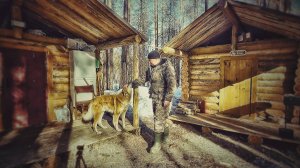 В ТАЙГЕ БАРДАК. РАБОТА И ОТДЫХ НА ЛЕСНОЙ ИЗБЕ. Экипировка для охоты KING HUNTER.