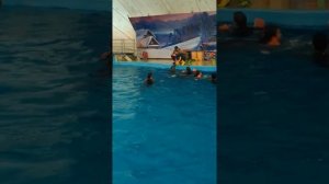 Анапа, дельфины, дельфинотерапия, аутизм.