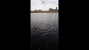 Водоем в Широком (Скадовск) скоро закроют. Спеши порыбачить