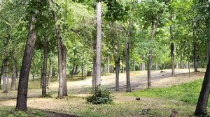 Загородный парк г.Самара_прогулка
