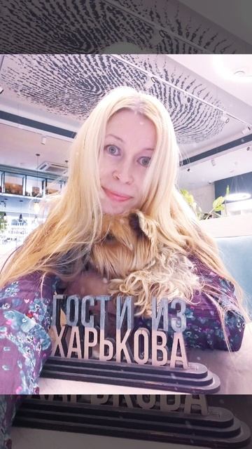 рестораны Белгорода скучают без гостей из Харькова смотреть онлайн