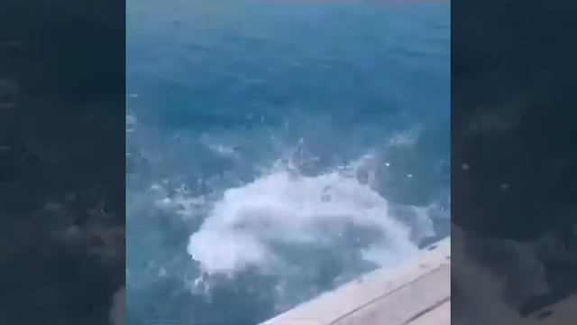 Чоктал смотреть онлайн