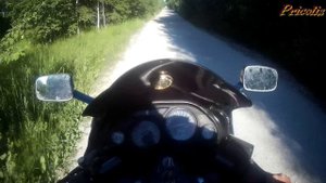 Kawasaki ZZR 400 (2) Зизер мотобудни vol 12 Сеньково