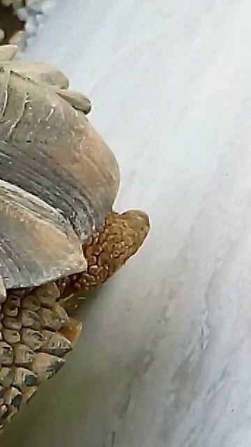 June 19, 2023 смотреть онлайн