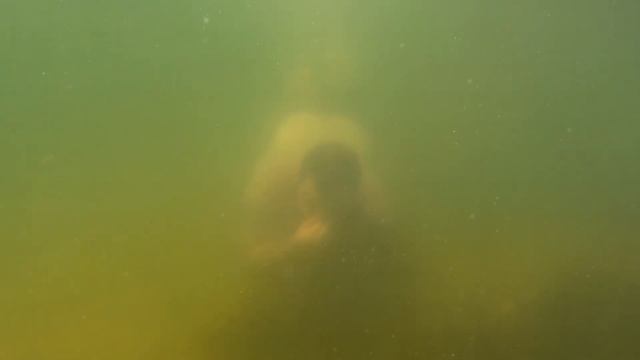 Дневник Яйцехвата №41 смотреть онлайн