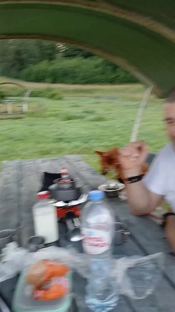 ПУТЕШЕСТВИЕ В КАРЕЛИЮ! Кемпинг. #shortsvideo #путешествия #карелия #кемпинг #путешествие смотреть онлайн