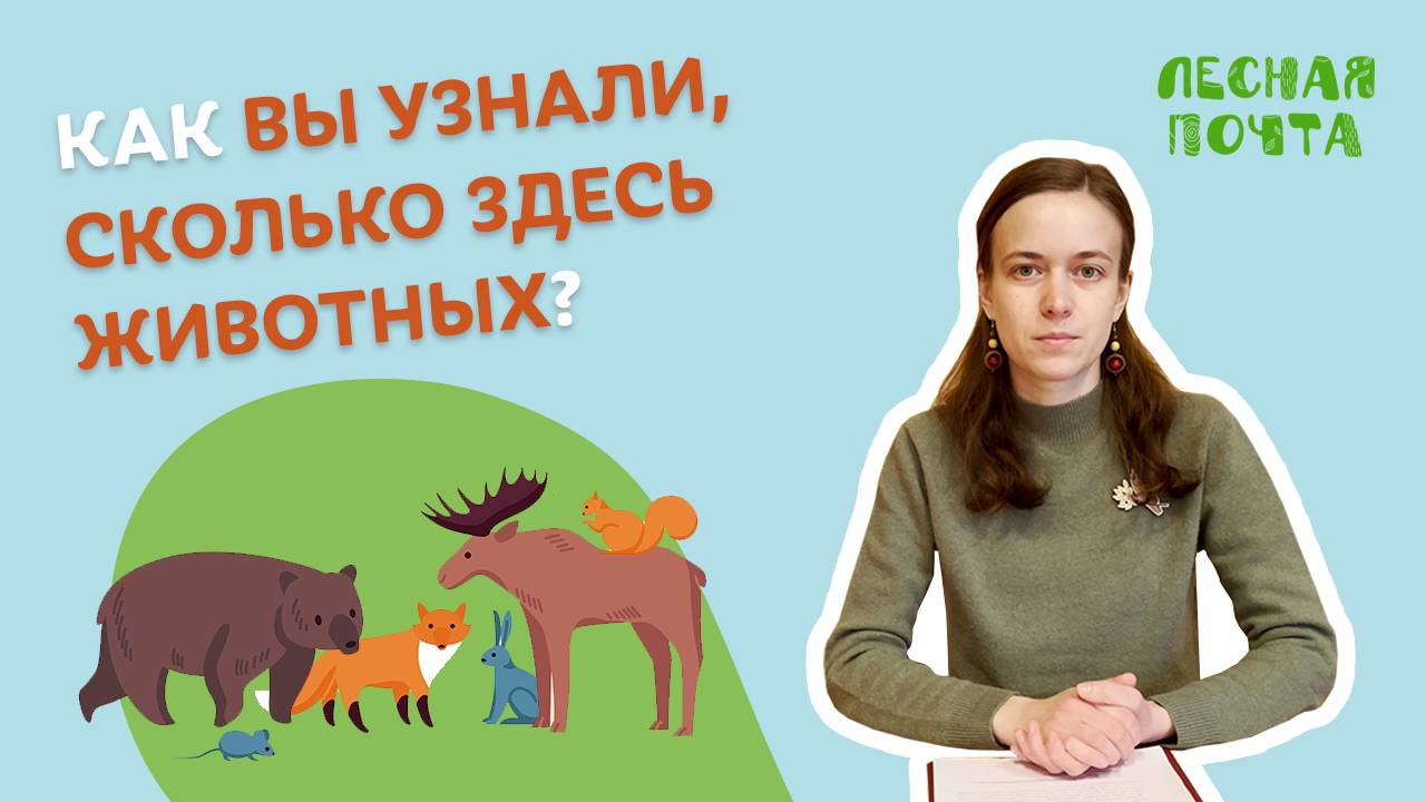 Как вы узнали, сколько здесь животных? Лесная почта Лапландского заповедника