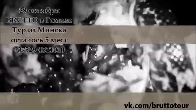 Автобусный тур на концерт Brutto! смотреть онлайн