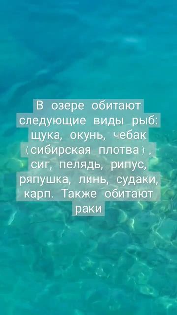 Блог о жизни в маленьком курортном городке Щучинск.Боровое.Казахстан. смотреть онлайн