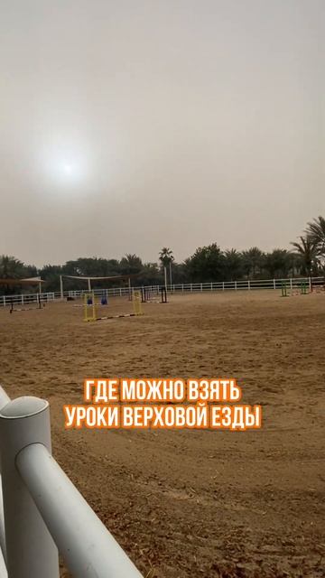 Отель- ОАЗИС В ПУСТЫНЕ! Дубай смотреть онлайн