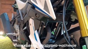 Мощный дорожный мотоцикл MT 250! 🏍Надо глянуть 2024