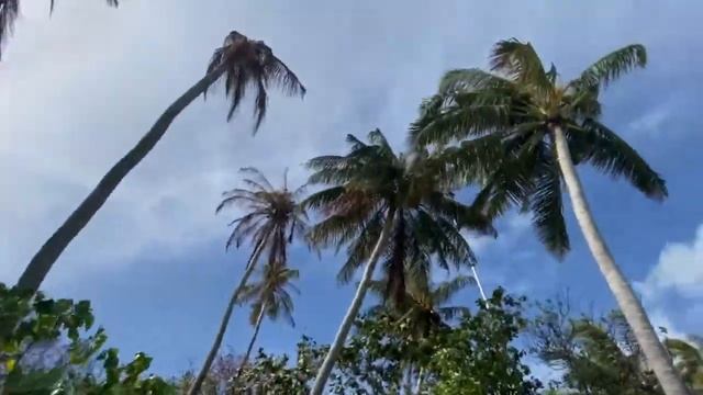 Наутилус Мальдивы | утренний пляж 🏖️ прогулка на завтрак. смотреть онлайн