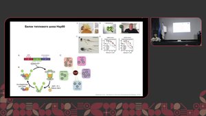 IV научно-практическая конференция "Таргетная терапия сегодня и завтра, междисциплинарные задачи"
