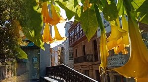 Ла-Корунья в Испании – красивый город на берегу океана. Первые впечатления...