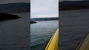 Черкесское водохранилище.