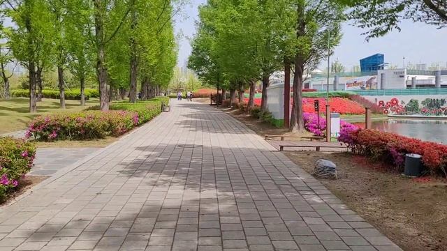 Южная Корея. Первый день. смотреть онлайн