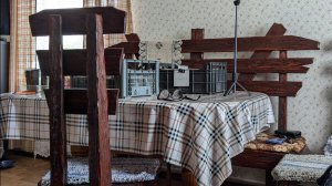 Высаживаю тыквы, кабачки и огурцы в стаканчики.