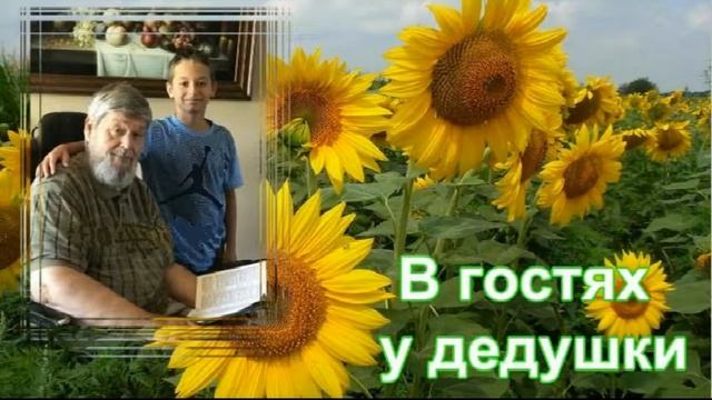 """В гостях у ДЕДУШКИ №13 смотреть онлайн