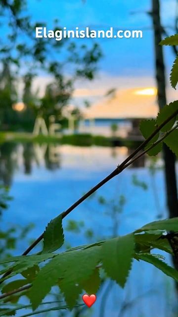 Elaginisland.com Апарт Отель Елагин #отели #travel #апартотель #отель #питер #спб #гостиница смотреть онлайн