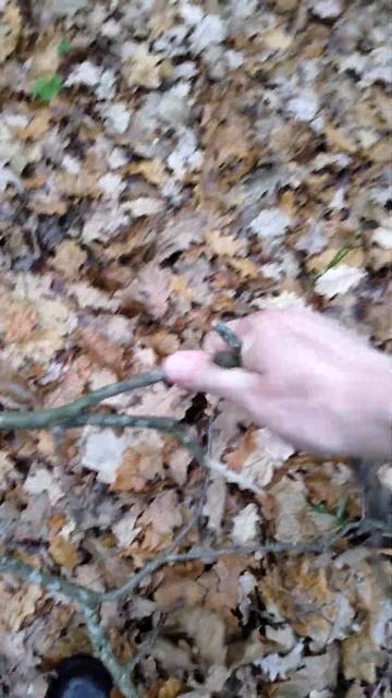 Самая дешевая Щепочница, дешевле 200 рублей! смотреть онлайн