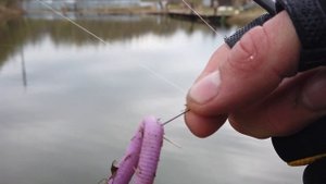 Форелевая рыбалка на платнике в подмосковье - KING-FISH Аксено-Бутырки