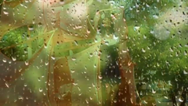 СЕВИРИНА "Слёзы на твоих глазах" (муз. и сл.: СЕВИРИНА) смотреть онлайн