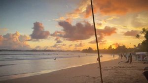 Отдых на Шри Ланке 2024