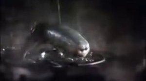 Reklám Domestos 2005