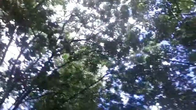 Санаторий родник!!!! смотреть онлайн