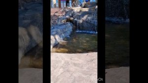 Эко туризм#Берхино#отдых в Подмосковье