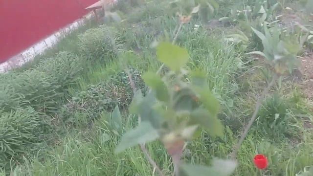 Дорога в Санаторий Тополёк
