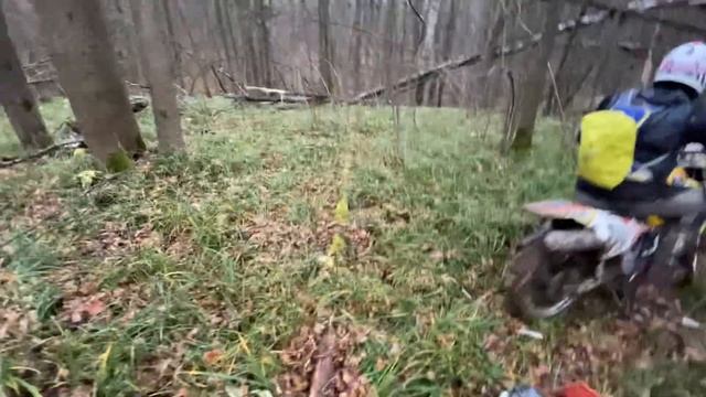 Медведь тропа 3 смотреть онлайн