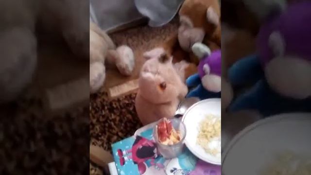 Полiцiя прийшла в кафе-ресторан #3 серiя смотреть онлайн