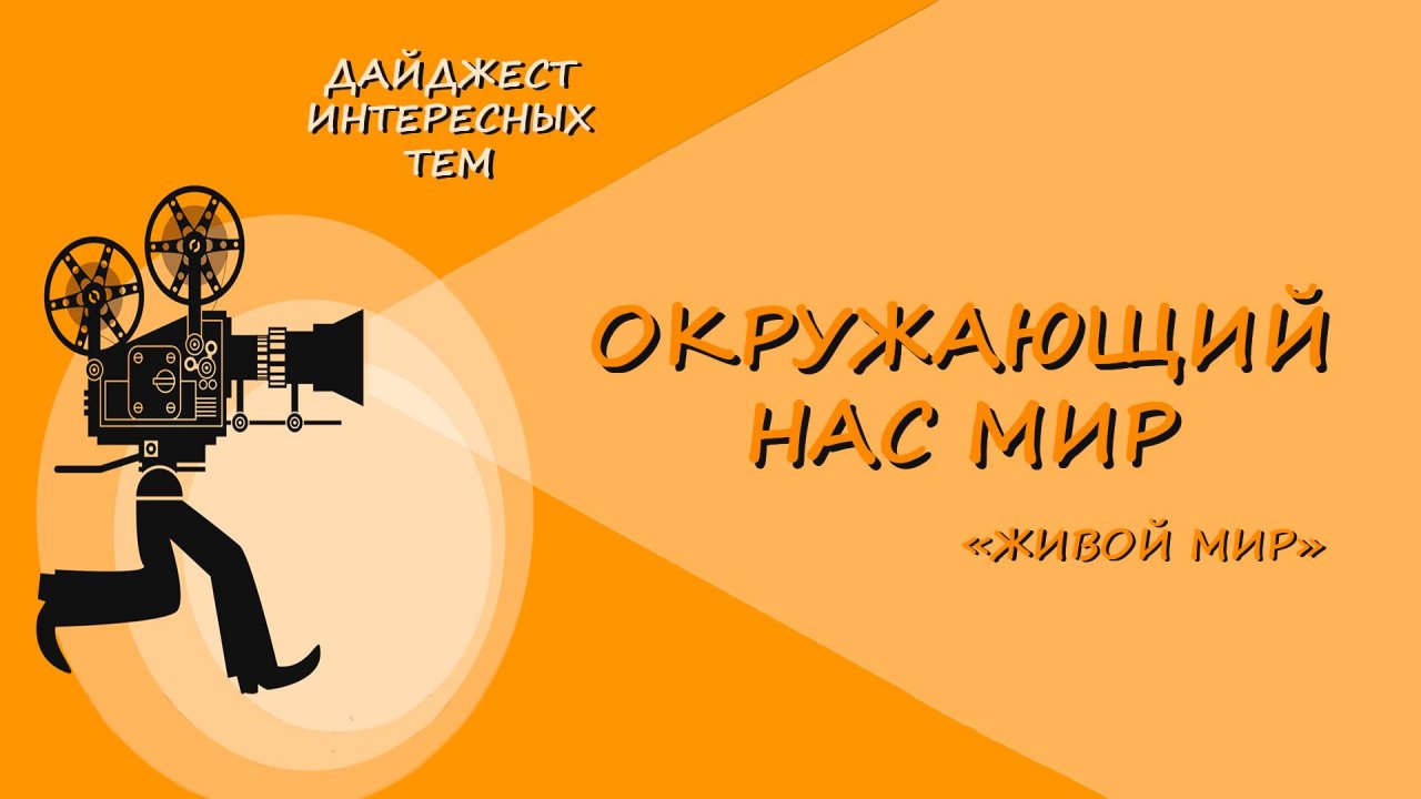 ЖИРАФЫ * САМЫЕ ВЫСОКИЕ ЖИВОТНЫЕ * НАБЛЮДАЯ ЗА МИРОМ
