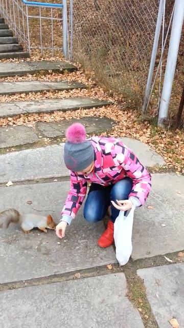 Красноярка. Омск. Белки_2 смотреть онлайн