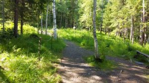 Парк "Лес Чудес" (Светлый Яр, Голоустненский тракт, Иркутская область)