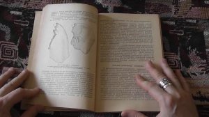 "Происхождение антофилии у насекомых" (Э.К.Гринфельд, 1962)