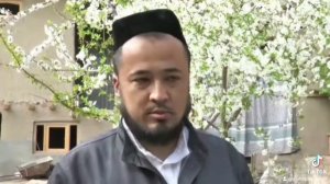 ASAL ARI ZAXRI ASALARISHIFO ASAL ARI SHIFO APITERAPIYA АПИТЕРАПИЯ АСАЛ АРИ ЗАХРИ АСАЛ АРИ ШИФО