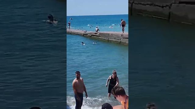 Архипо-Осиповка 1 августа 2024 года 🌤️ обстановка на центральном пляже 🏖️ Видео из группы в Телегра смотреть онлайн